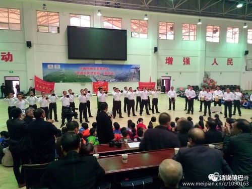 民間文藝綻放校園，文化傳承走進鎮(zhèn)巴——中國民間文藝家協(xié)會‘民間文化進校園’活動紀(jì)實